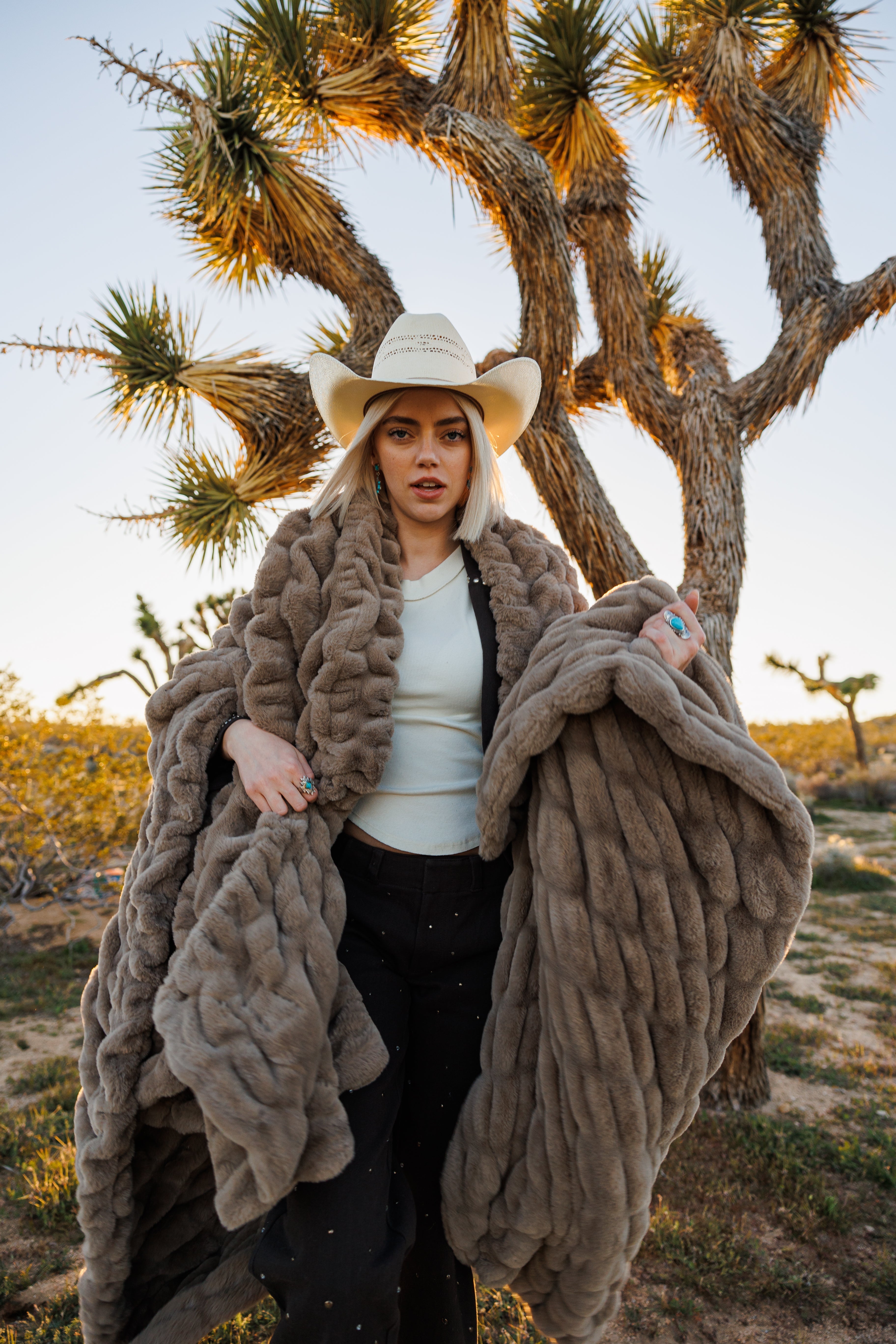 Desert Dune