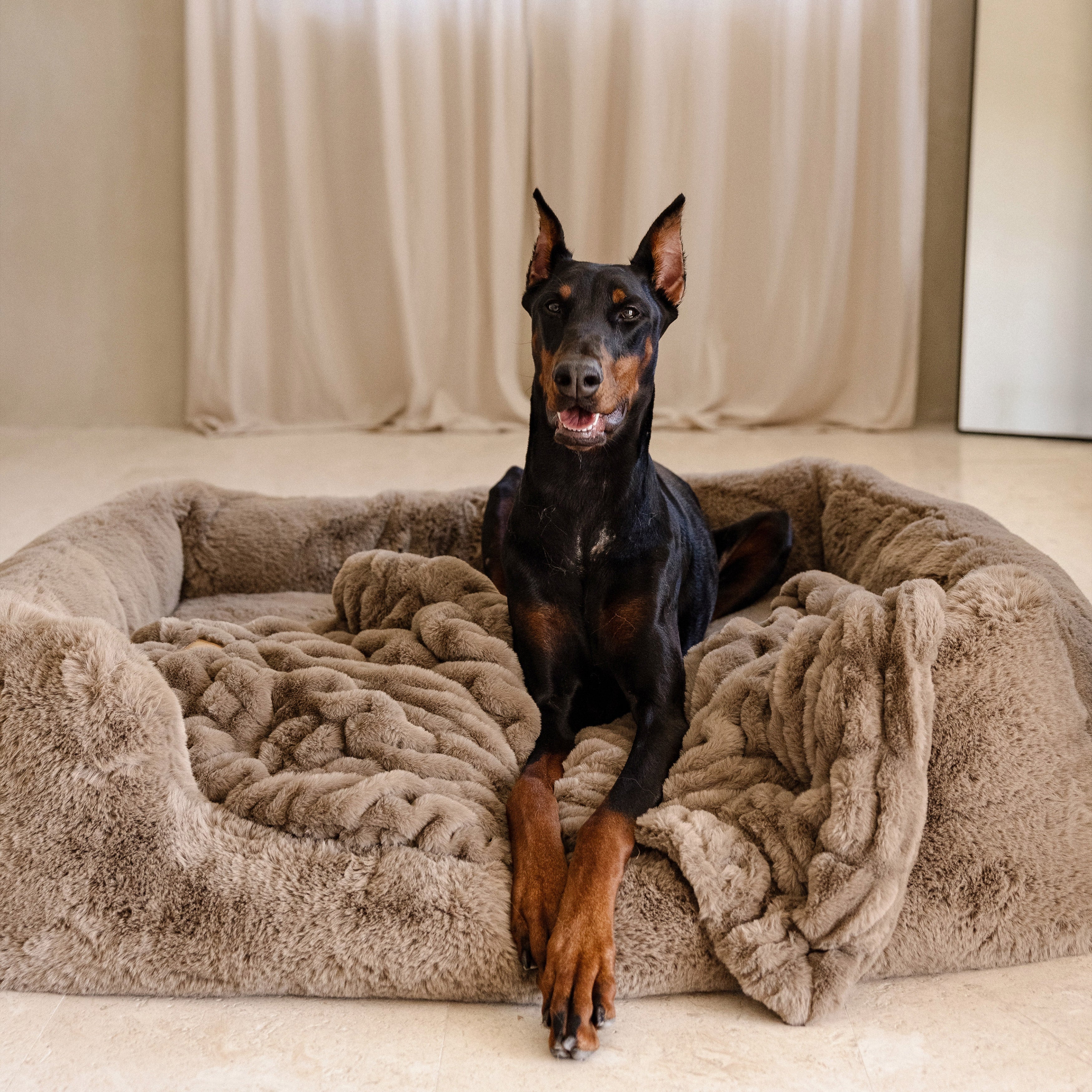 The Lola Pet Bed