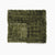 Fern Green
